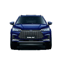 bydbrasil  Sticker