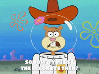 season 5 blackened sponge GIF by SpongeBob SquarePants