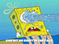 season 5 blackened sponge GIF by SpongeBob SquarePants