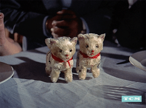 Katharine Hepburn Vintage GIF by Turner Classic Movies