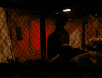 Film Knock Down GIF