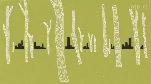 city trees GIF by Marcie LaCerte