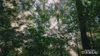 Simplify Henry David Thoreau GIF by PBS