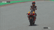Winning Honda GIF by MotoGP