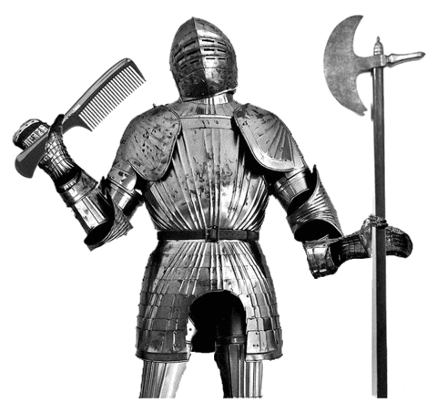 Knight Comb Sticker by Zu