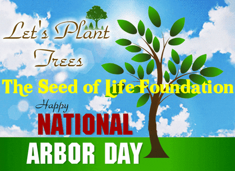 Happy Arbor Day GIF by The Seed of Life Foundation