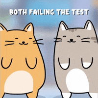 White Cat Oops GIF by MESA My Emotional Support Animal