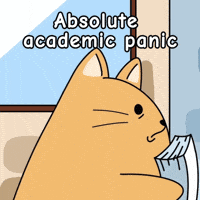 Cramming Help Me GIF by MESA My Emotional Support Animal