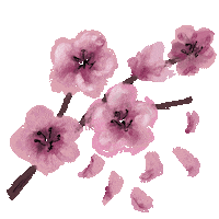 Xiwikj flower flowers cherry blossom fiori Sticker