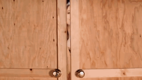 hours get GIF