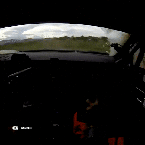 Close Call Driving GIF by FIA World Rally Championship