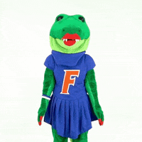 Jaw Dropped Wow GIF by Florida Gators