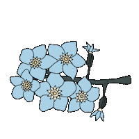 bydaisydalia flower floral deco flora Sticker