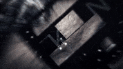 Djs GIF