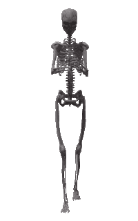 Halloween Skeleton Sticker
