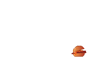 Burger Sticker by kizilkayalar