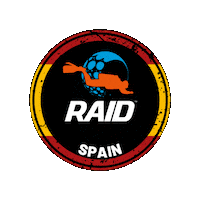 Raid Sticker by DiveRAID