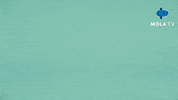 Animation Reaction GIF by Mola TV Kids