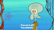 season 9 the fish bowl GIF by SpongeBob SquarePants