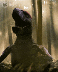 Walking With Dinosaurs Dinosaur GIF by PBS