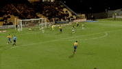 baxter ytfc GIF by Yeovil Town FC