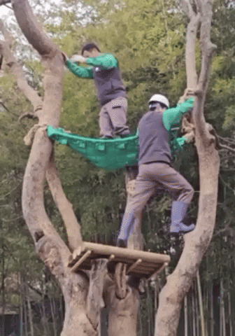 c742c96ae50b453ca3fb75a1c5021c8c giphyupload GIF