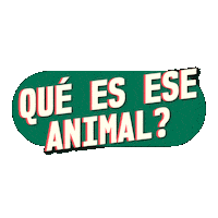 Humor Comedia Sticker by Alguna Pregunta Més?