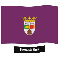Bandera Sticker by Formación Ninja