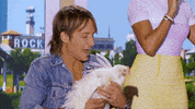 keith urban chicken GIF by American Idol