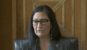 Deb Haaland Confirmation Hearing GIF by GIPHY News