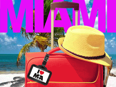 traveling palm tree GIF by Miami International Airport