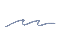 shoresociety water beach wave ocean Sticker