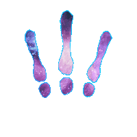 Exclamation Sticker by LESKARGO