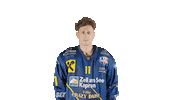 ekzellereisbaeren 11 eishockey alpshockeyleague zell am see Sticker
