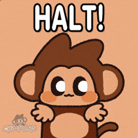 Monkey No GIF