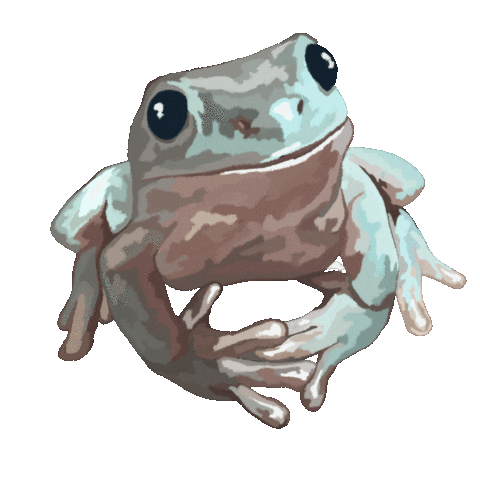 Frog Cute Animal Sticker