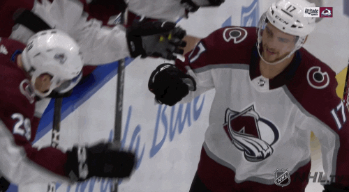 Ice Hockey Sport GIF by NHL