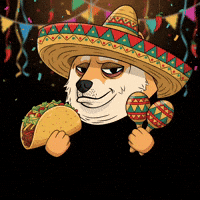 Shiba Inu Party GIF by Doge Pound