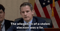 Jan 6 GIF by GIPHY News