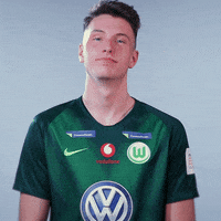 fifa 18 football GIF by VfL Wolfsburg