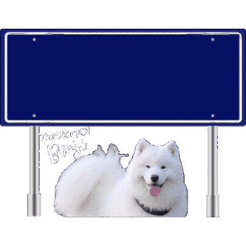 Utrecht Benji Sticker