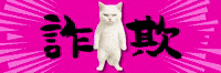 Cat Warning GIF