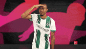 Looking Around Borussia Moenchengladbach GIF by Bundesliga