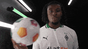 Germany Football GIF by Bundesliga