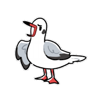 Black-Headed Gull Sticker