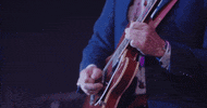 Jamming Oh Yeah GIF by Joe Bonamassa