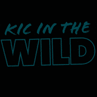 Kicrealestate GIF by KIC Realty