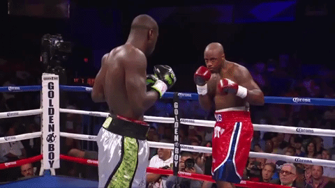 deontay wilder dive GIF
