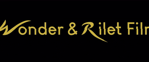 Vfx Wr GIF by Wonder y Rilet