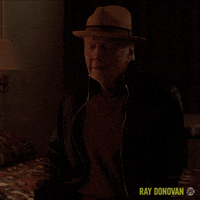 Episode 7 Showtime GIF by Ray Donovan